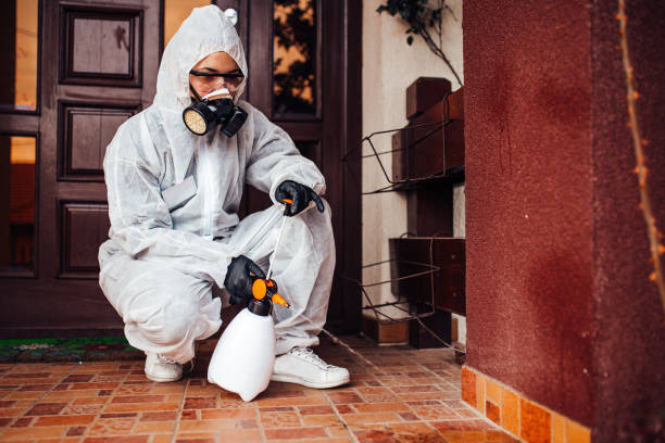 Reliable Wasp Removal contractor in Valley Cottage, NY by Show Me Pest Control